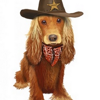 Cocker Spaniel Cowboy