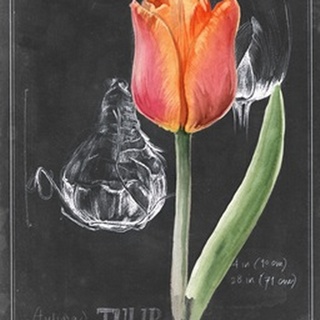 Chalkboard Flower III