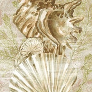 Antique Peach Shell Collage II