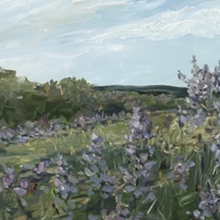 Impressionist Lavender Field I