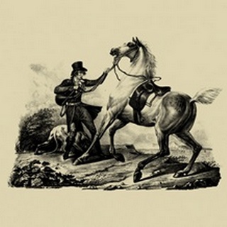 Horse & Horsemen V