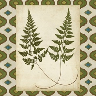 Moroccan Ferns I
