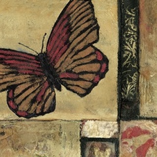 Butterfly in Border I