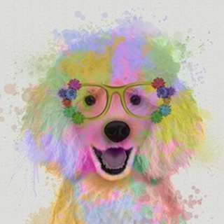 Poodle Rainbow Splash