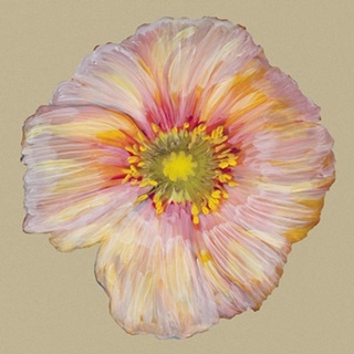 Poppy Blossom I