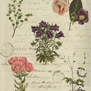 Postscript Flower Chart II