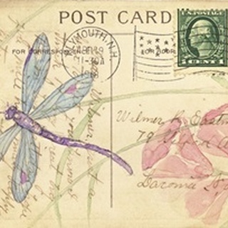 Postcard Dragonfly I