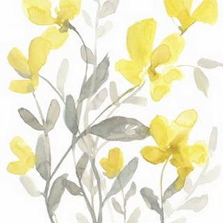 Yellow and Grey Garden II