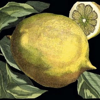 Fragrant Citrus I