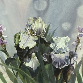 Hadfield Irises III