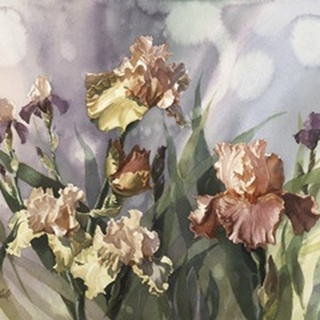 Hadfield Irises V