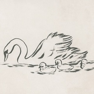 Swan Sketch IV