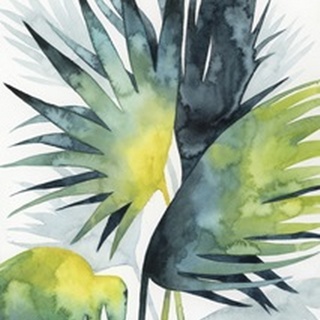 Sunset Palm Composition IV