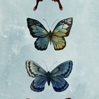 Fairyflies Collection B