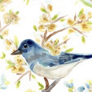 Springtime Songbirds Collection B