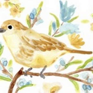 Springtime Songbirds Collection D