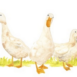 Quack Squad I