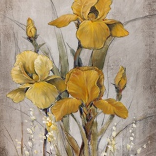 Golden Irises II