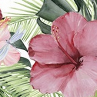 Hibiscus and Hummingbird Collection D