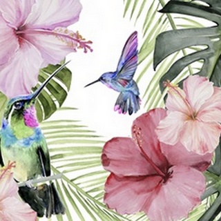 Hibiscus and Hummingbird Collection A