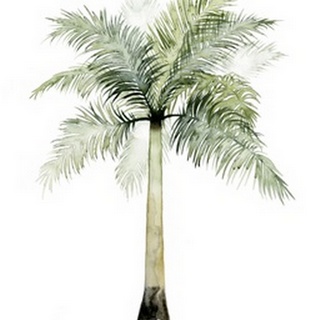 Watercolor Palm of the Tropics II