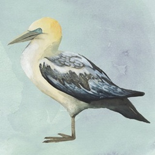 Watercolor Beach Bird III