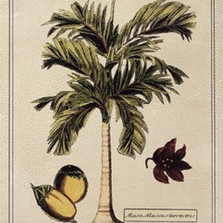 Crackled Paradise Palm I