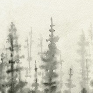 Ink Pine Woods I