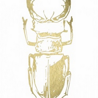 Gold Foil Beetle III
