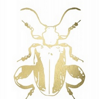 Gold Foil Beetle II