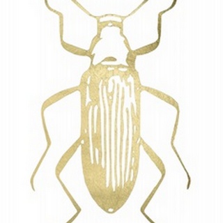 Gold Foil Beetle I