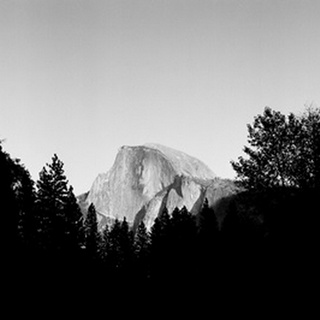 Half Dome in Trees