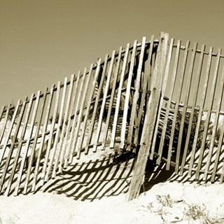 Fences in the Sand II