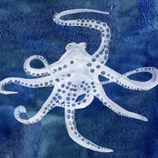 Cephalopod II