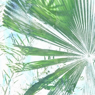 Emerald Palms I