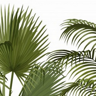 FabFunky Palm Collection A