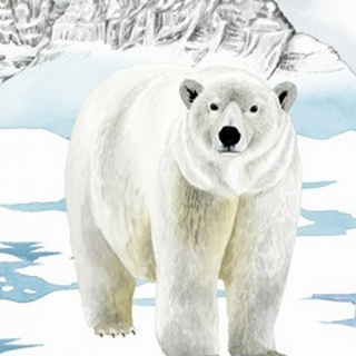 Arctic Animal II