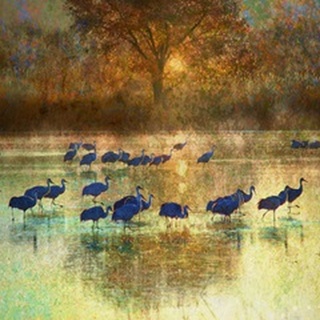 Cranes in Mist II