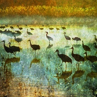Cranes in Mist I
