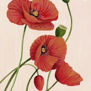 Soft Coral Poppies I
