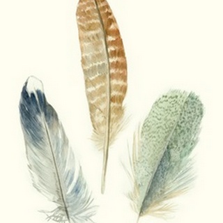 Watercolor Feathers IV