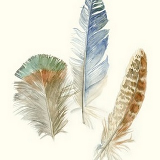 Watercolor Feathers III
