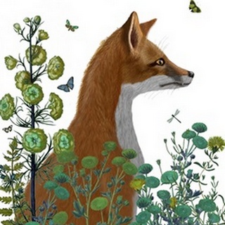 Fox In the Garden
