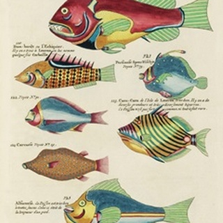 Renard Tropical Fish III
