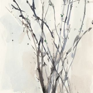 Watercolor Branches II