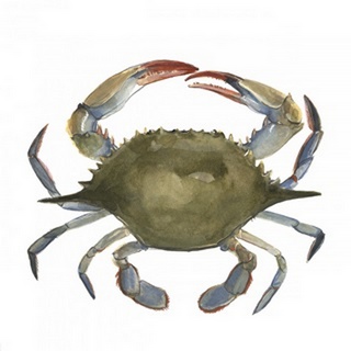 Watercolor Crab II