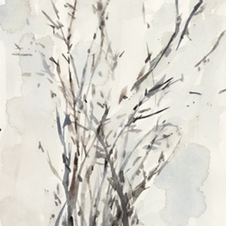 Watercolor Branches I