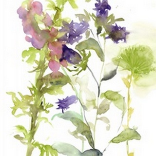Watercolor Floral Study I