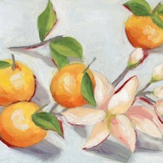 Tangerine Blossoms I