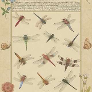 Dragonfly Manuscript I